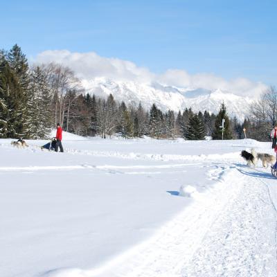 Winterwanderweg Mit Schlittenhundefahrt